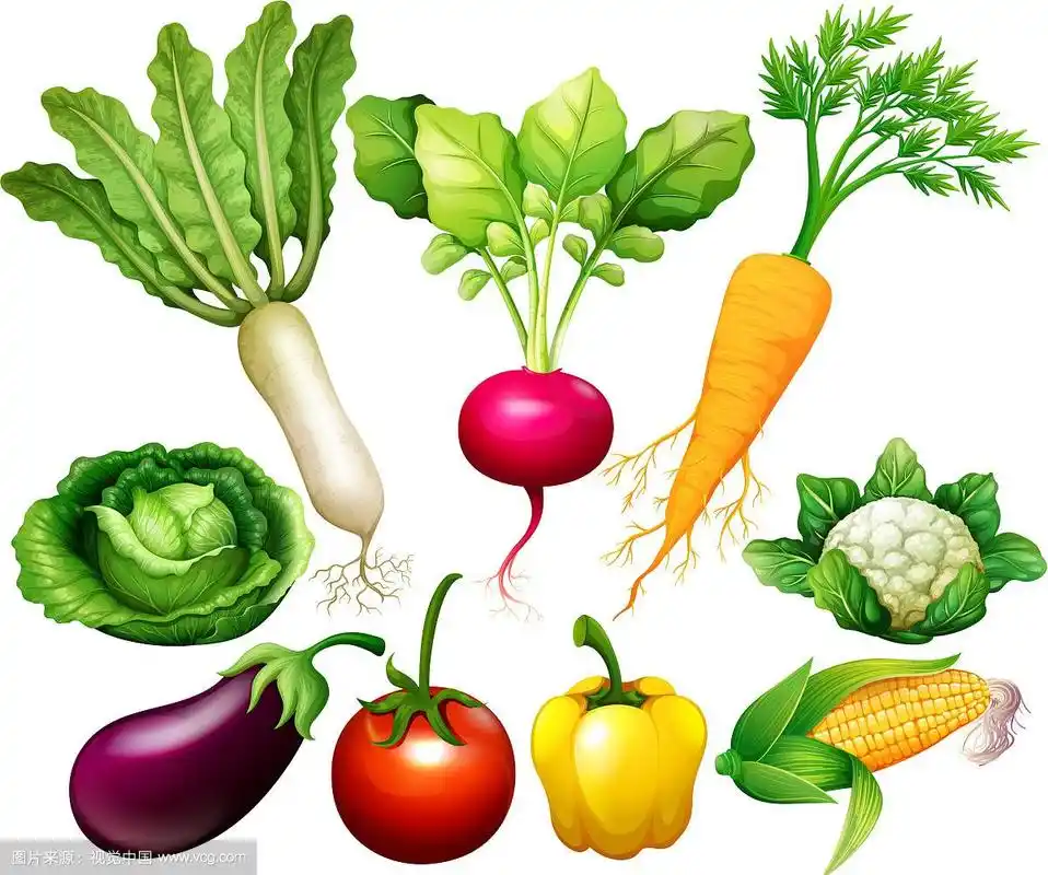 各种蔬菜