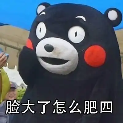 脸大猫咪猫搞怪不喜欢合照gif动图_动态图_表情包下载_soogif