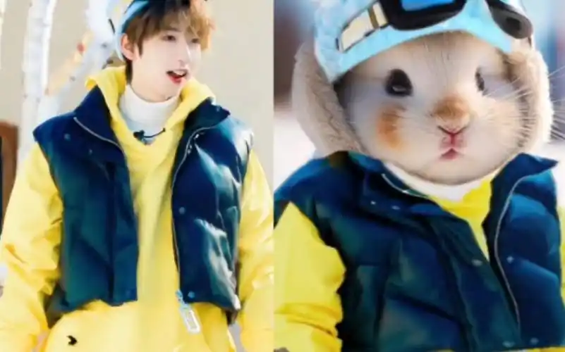 【贺峻霖】我可是这片雪场的兔老大