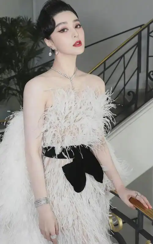 虽说不是她的粉丝,夏纳红毯还是得看范冰冰