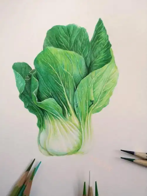 彩铅基础入门画简单内容,适合中级学员参考.