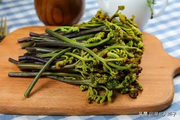 一,农村100种野菜图片和名称