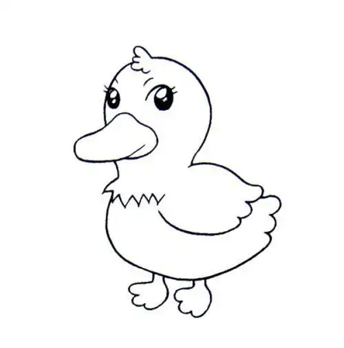 漫画动物的简笔画大图