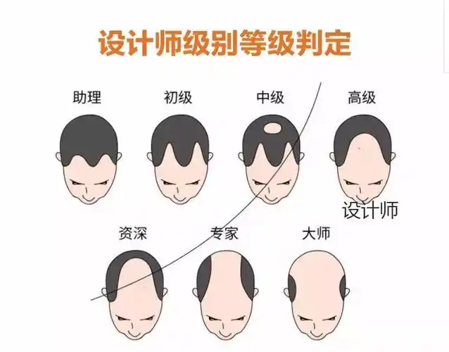 那些秃飞猛进的设计师