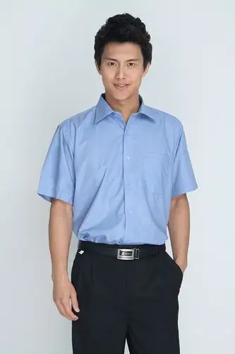 金伟乐 防皱免烫 经理职业男士衬衫 短袖衬衫 ktv工作服 夏季d532 天