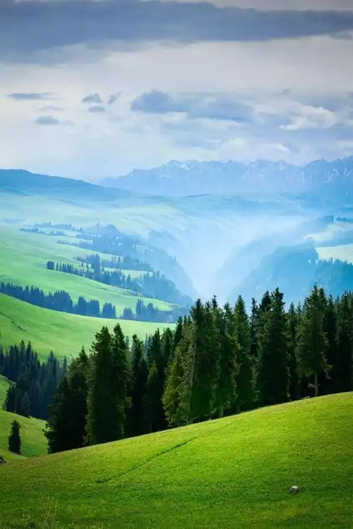 全世界最美的人体草原是如何被上帝宠坏的