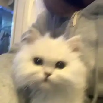 王子耀骑自行车照 - 抖音