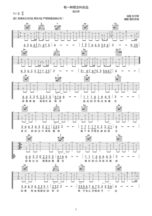 有一种思念叫永远 吉他谱