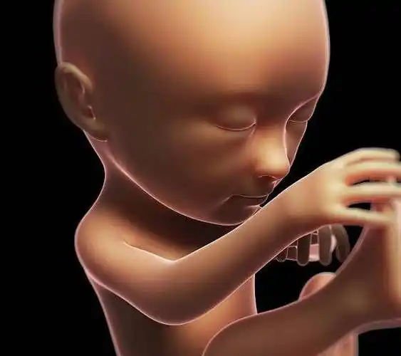 这个月份可能是胎儿的"猛长期"妈妈抓住机会,让孩子跟上营养!