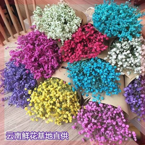 新款室内摆设盆景花枝干草真花文艺装饰毕业假花木棉花摆放干,.