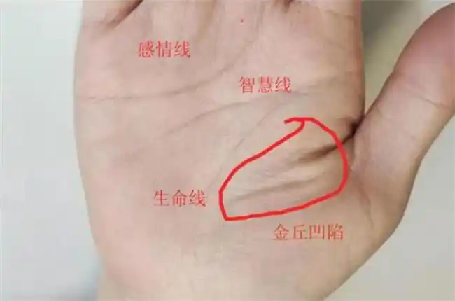 手掌中的钱财纹,指的是理财纹,通常小拇指与无名指中间的显现越多越深
