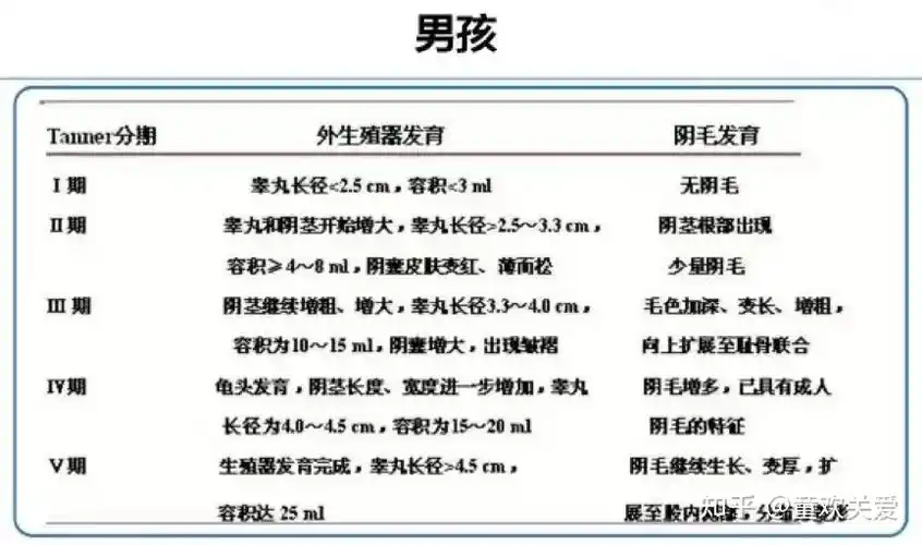 5岁左右,而生长速度最快的年龄一般是之后的1.