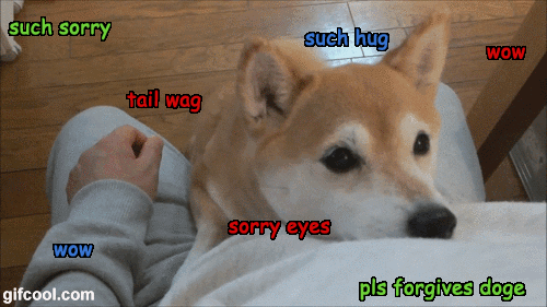 狗狗撒娇的方式