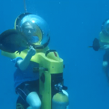 海洋喂鱼潜水gif动图_动态图_表情包下载_soogif