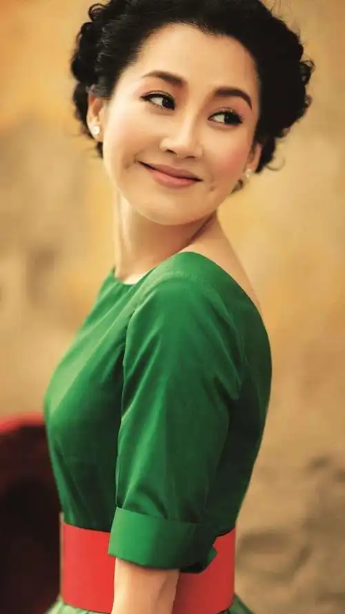 优秀的作品配上优秀的演员徐帆,每一部都是冯小刚导演的经典之作