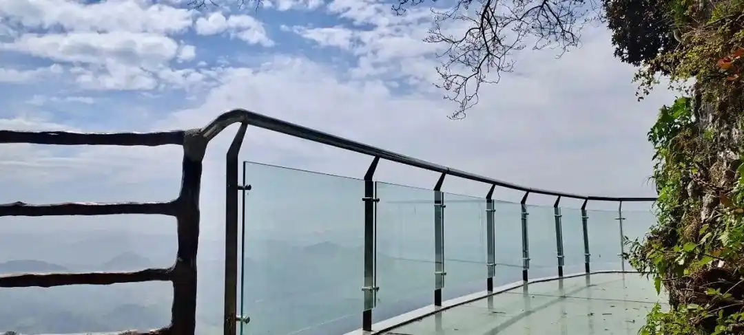 汉中龙头山玻璃栈道恢复开放!更有漫山杜鹃竞相开放!