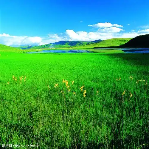 自然风景美图微信头像图片风景美图美图风景图片大全唯美大自然美景