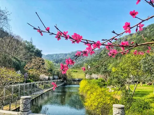 木兰天池开园啦花开漫山风景如画山水之间闹春天