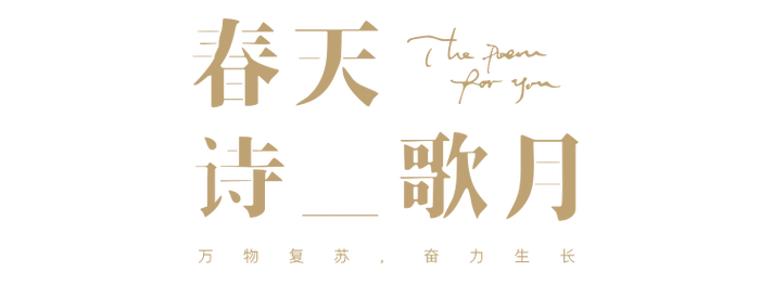 诗意之旅 | 窗外过分美丽,我却辜负了春天:陈立农