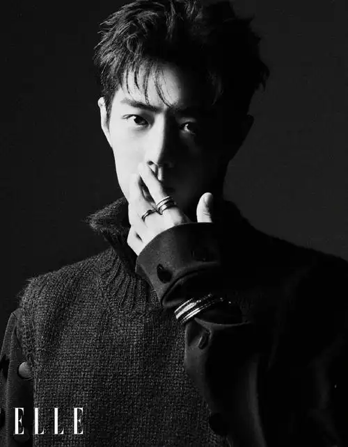 肖战elle金九封面##肖战elle明暗光影大片