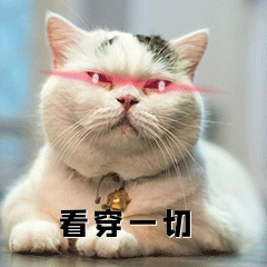 红眼特效猫咪看穿一切动态表情包