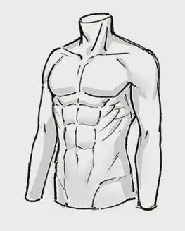 成都水彩之翼:教你上半身肌肉的画法教程!