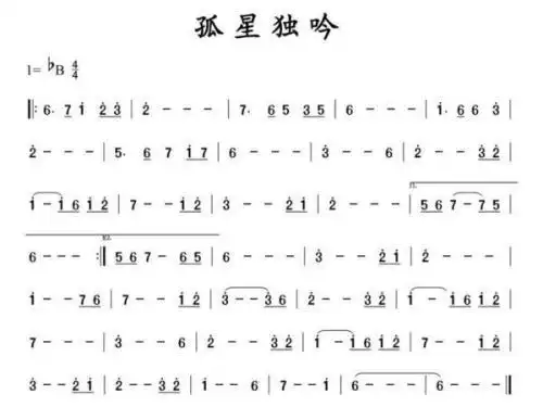 谁有《孤星独吟》g调箫谱.我有bb调的,但不会翻谱.