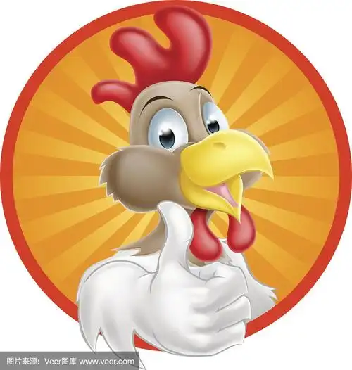 鸡的卡通