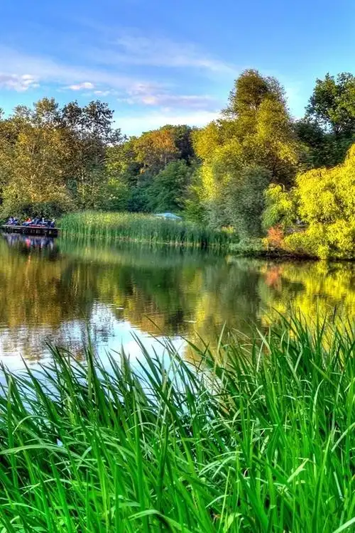 iphone 壁纸 绿色的大自然,春天的河美景