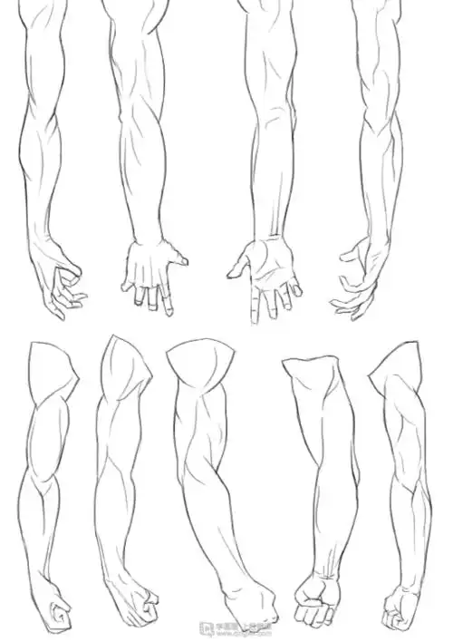 写生手臂人体体块手臂肌肉的练习