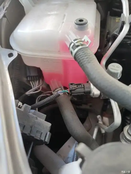 【图】卡罗拉双擎防冻液_卡罗拉论坛_汽车之家论坛