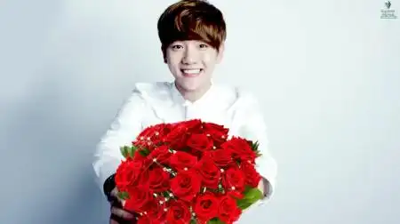 求边伯贤捧玫瑰花的照片在线等
