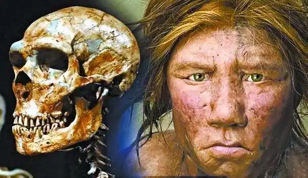 世界上灭亡的4种人种(16个灭绝的史前人种)(11)