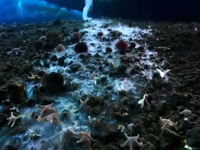 如果这个推断成立,那么那些跟地球一样存在海水的星球,很可能也会诞生