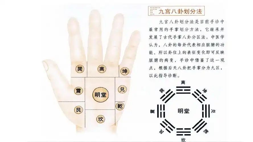九宫八卦手诊ppt
