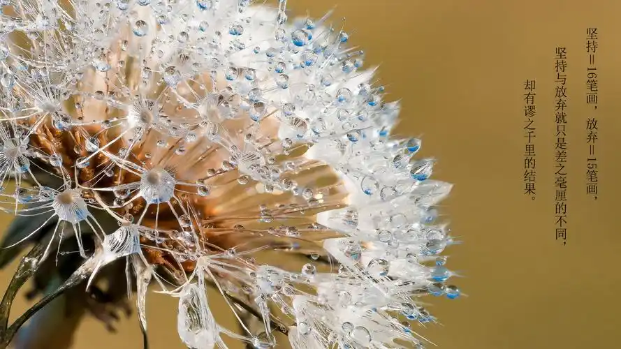生活语录心情说说图片