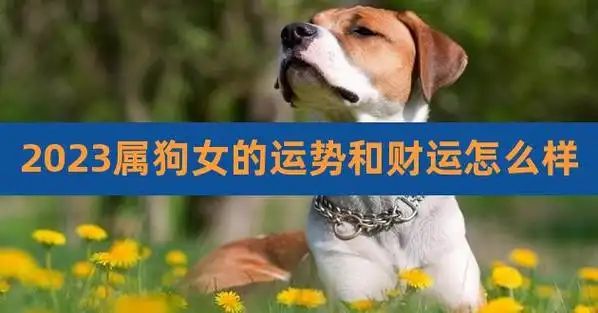 2023属狗女的运势和财运怎么样,1994年2023年属狗女全年运势