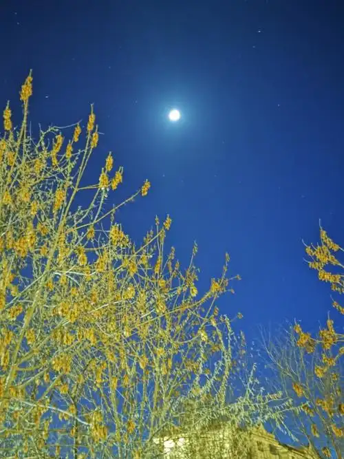 星月同辉我还是第一次拍到呢