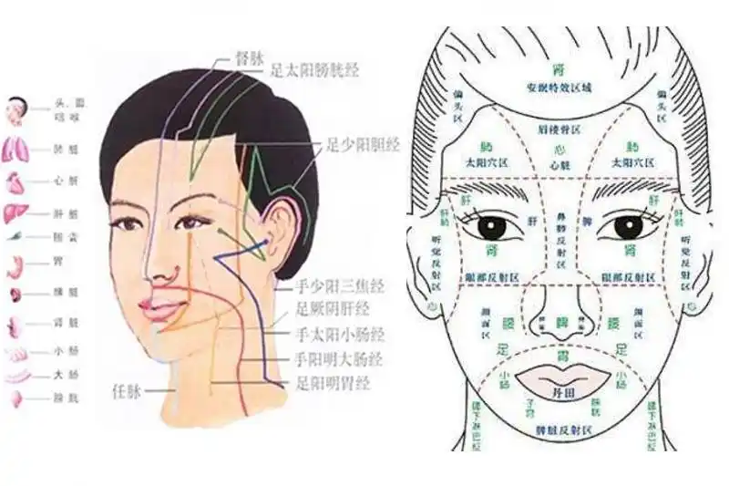 你知道我们的脸上有多少穴位吗?
