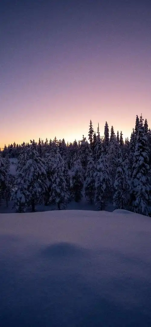 vol 210 精选无水印高清手机壁纸