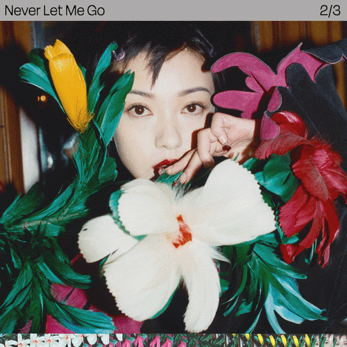 郭采洁蒙在"顾里",还能出来吗?