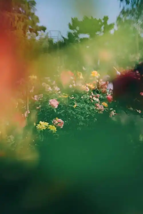 壁纸|8k高清手机壁纸 锁屏壁纸