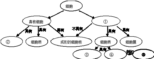 糖类又称碳水化合物.下列物质属于多糖的是 a.淀粉 b. 葡萄糖 c.