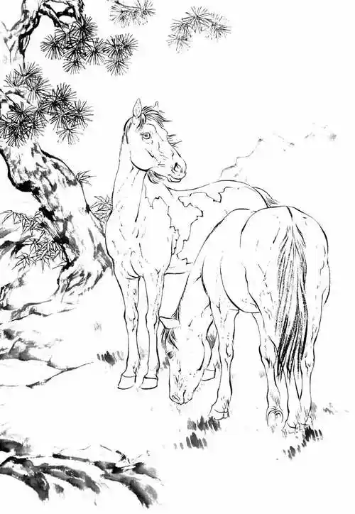 国画《骏马图》高清白描底稿15幅,一马当先,马到成功