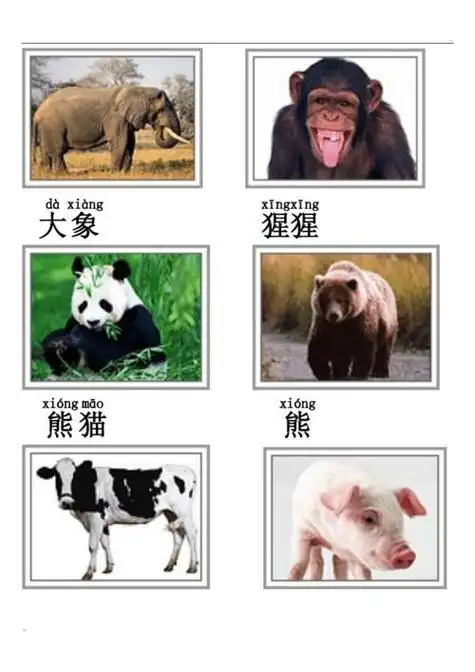 可爱动物名称大全—— 可爱点的动物名字.