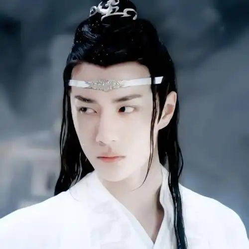 【微信头像】陈情令