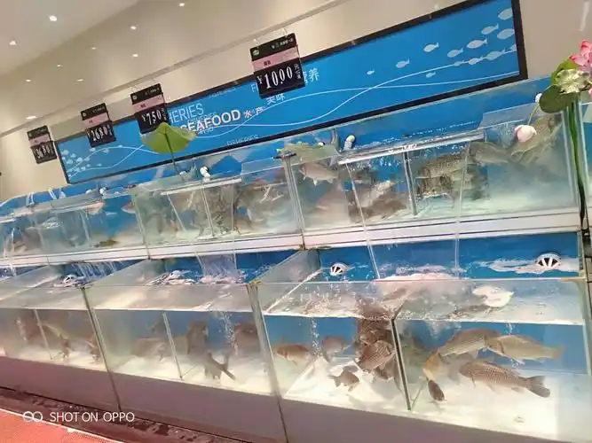 水产陈列