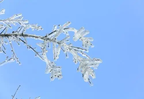 2018初冬·岳麓山醉美冰霜