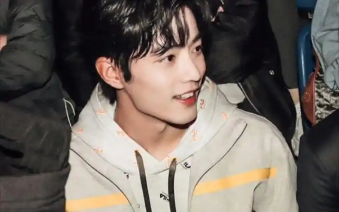 好看的肖战素材