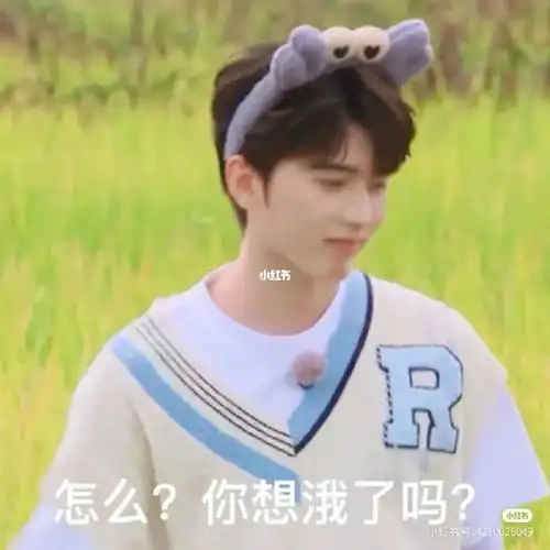 蔡徐坤表情包第一弹